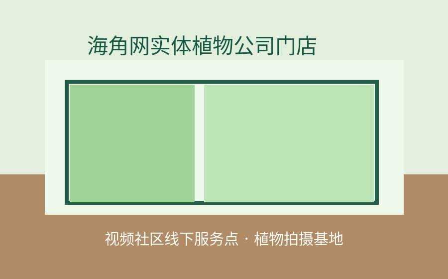 黑料