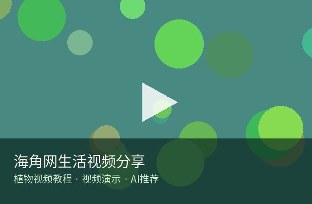黑料