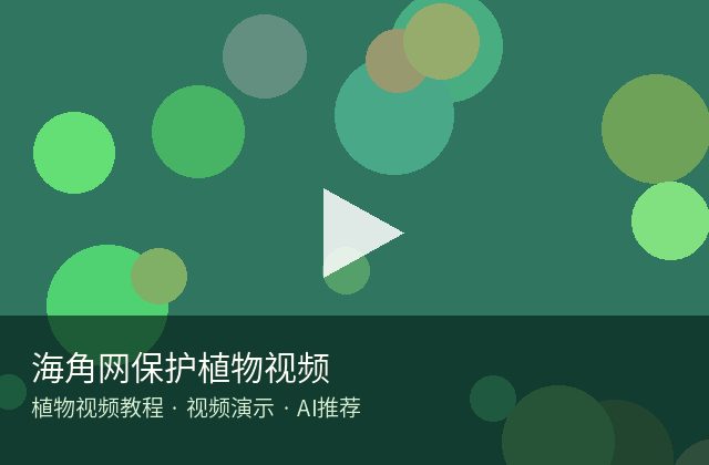 黑料